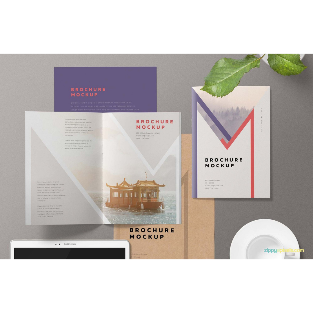 Professional brochure mockup featuring an open booklet and folded brochure with modern red, purple, and white designs, manufactured by Elite Writing & Display